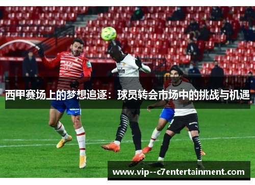 西甲赛场上的梦想追逐：球员转会市场中的挑战与机遇