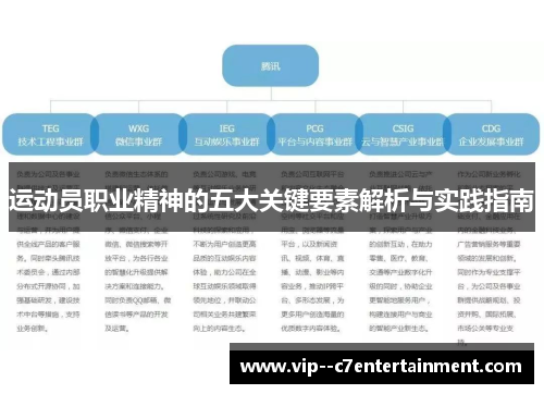运动员职业精神的五大关键要素解析与实践指南